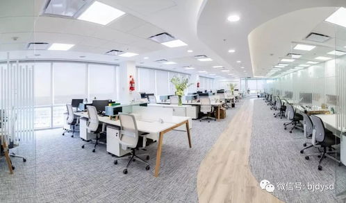 打破傳統(tǒng)刻板嚴肅印象,辦公場所也要小清新